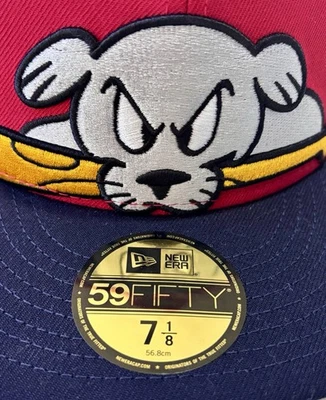 Portland Sea Dogs New Era 59FIFTY MiLB Gorra Sombrero 7 1/8 Ajustado Nuevo Boston Red Sox  Foto 1 de 4