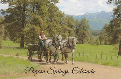 Equipo de caballos Percheron, Barb y Sue, postal Foto 1 de 2