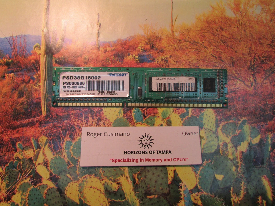 Patriot Memory PC3-12800 8 GB DIMM 1600 MHz DDR3 SDRAM Memory PSD38G16002-SINGLE - Image 1 of 1