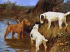 Three Terriers on a Scent  : Arthur Wardle  :  Art Print Suitable for Framing
