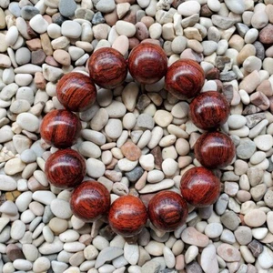 Preciosa pulsera Akar Laka de 20 mm Dalbergia Parviflora 12 cuentas Kayu Menang #58 - Imagen 1 de 4