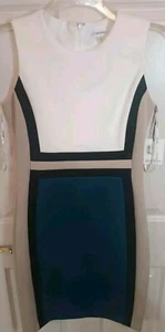 Calvin Klein Sleeveless Textured Colorblock Knit Stretch Sheath Dress 8 NWT - Picture 1 of 6