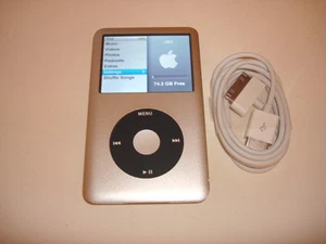 APPLE iPOD CLASSIC 6TH GEN. CUStOM SILVER/BLACK 80GB...NEW BATTERY... - Picture 1 of 8