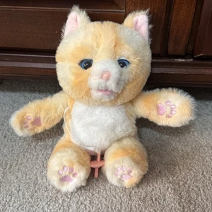 Little Live Pets Cozy Dozys - Ginger the Kitty - Picture 1 of 7