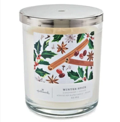 NUEVO SELLO WINTER SPICE 3 MECHAS TARRO VELA ~ 16 OZ ~ CARDAMOMO + MEZCLA DE SOJA JENGIBRE Foto 1 de 2