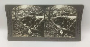 Keystone Stereoview-Bettws-Y-Coed, una escena de encanto en el hermoso norte de Gales - Imagen 1 de 2