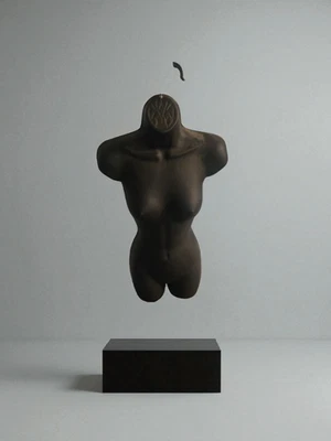 Maniquí de torso blanco moldeado con forma de exhibición femenina para camisetas y ropa al por menor Foto 1 de 3