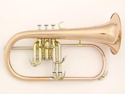 Roy Benson flicorno soprano FH302G Laccato - Bild 1 von 4