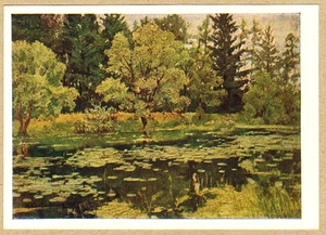 V.Konstantinov 1957 Russian postcard OVERGROWN POND - Foto 1 di 2
