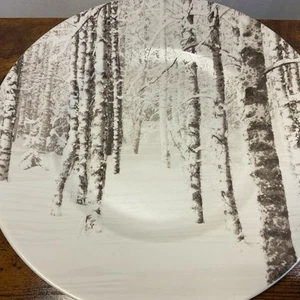 4x Platos de Ensalada de Cerámica 8.7" Abedul Blanco Robert Stanley Invierno Navidad - Imagen 1 de 6