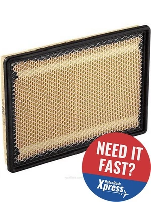 Ryco Air Filter A1735 Fits Chrysler 300C - image 1 of 4
