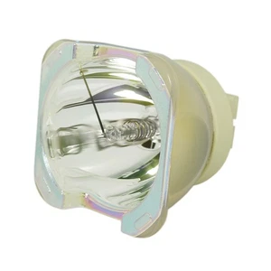 Jaspertronics™ OEM Lamp Only for The Digital Projection TITAN 930 Projector - Picture 1 of 9