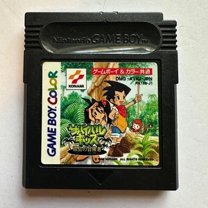 Survival Kids Nintendo Gameboy Japanese Tested Saves Authentic US Seller - Picture 1 of 4