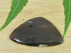 30X49X05MM Dendrita Miel Natural Forma Elegante Cabujón Piedra Preciosa Suelta 59Cts. - Imagen 1 de 7