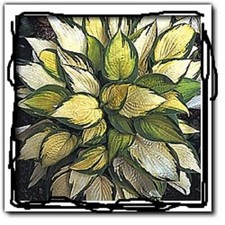 Hosta Plant Orange Marmalade Ship Spring 2018