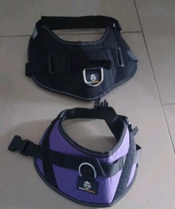 2 Doggy Kingdom Harness M Black And S Purple Colors Dog Set - Picture 1 of 8