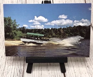 Wisconsin Dells WI Original Wisconsin Duck Entering Wisconsin River Vtg Postcard - Picture 1 of 4
