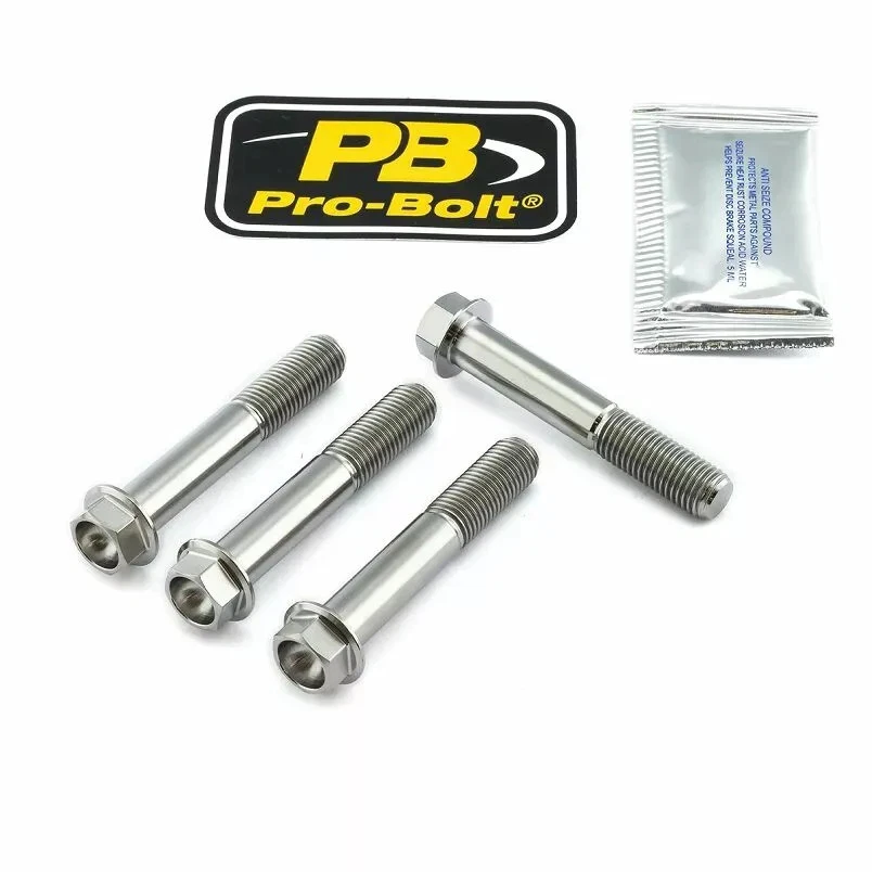Kit attacchi pinza freno PRO BOLT Argento, Naturale 17020625 - Immagine 1 di 1