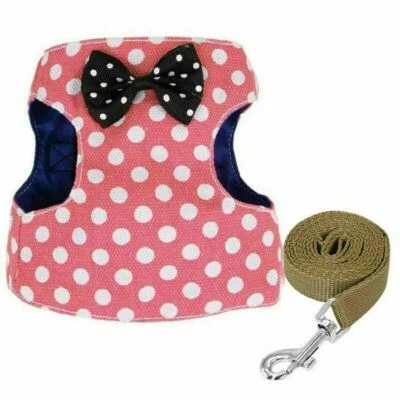 Chaqueta ajustable a prueba de escape gato caminar arnés y correa mascota cachorro malla chaleco Foto 1 de 4