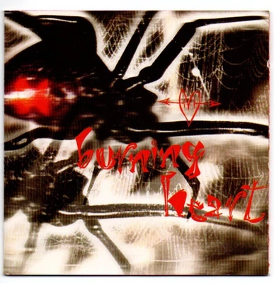 Burning Heart (4-CD-Compilation mit 60 Tracks weltbekannter Rockbands und Hits) - Bild 1 von 4