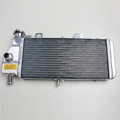 Radiador de aleación de aluminio Fit BMW F650GS 2001-2007 y BMW G650 Dakar 2008-2016 2006 Foto 1 de 4