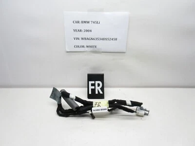 Arnés de cableado del panel de la puerta delantera derecha BMW 745 2002-2005 6913135 OEM Foto 1 de 4
