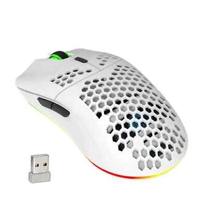 HXSJ T66 Wireless Gaming Mouse,2.4GHz Lightweight Honeycomb Shell Ergonomic RGB - Afbeelding 1 van 5