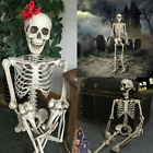 Poseable 40*12cm(16"*5") Size Human Skeleton Decoration Party Prop Halloween