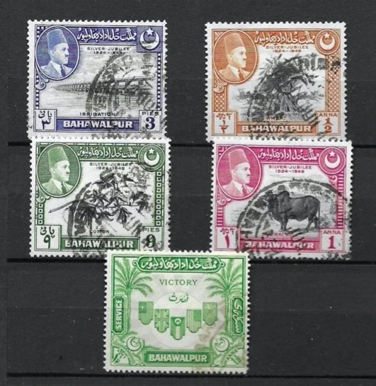 Un buen valor gato Bahawalpur grupo de números Foto 1 de 1