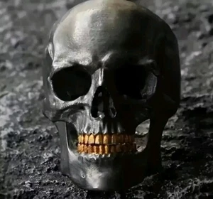 Großer Totenkopf Ring Herren Edelstahl matt Wikinger Gothic Ring - Bild 1 von 4
