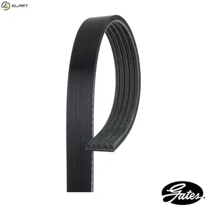 VRIBBED BELT 5PK1200 FOR RENAULT CLIO/II/Mk/MIO/SYMBOL/Hatchback/Van SCENIC 2.5L - Picture 1 of 10