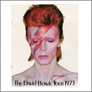 David Bowie 1973 Ziggy Stardust Tour Programme (UK) - Picture 1 of 1