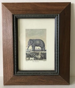 Vintage Pier 1 Antique Engraving Style Elephant Print Framed Wall Deco Picture - Picture 1 of 5