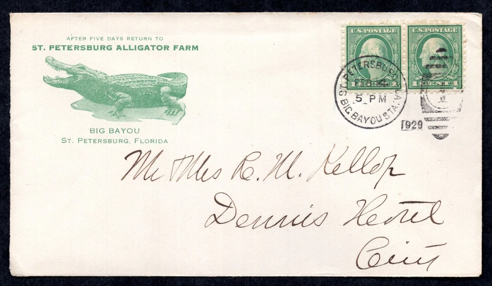 EE. UU. 1929 PUBLICIDAD SAN PETERSBURGO COCODRILO GRANJA CUBIERTA SAN PETERSBURGO, FLORIDA Foto 1 de 2