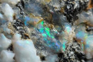 PRECIOUS OPAL FROM ANCIENT LOCALITY !!! DUBNIK, SLOVAKIA - Picture 1 of 24