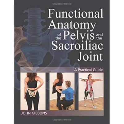 Functional Anatomy of the Pelvis and the Sacroiliac Joint: A ... by John Gibbons - Image 1 of 2