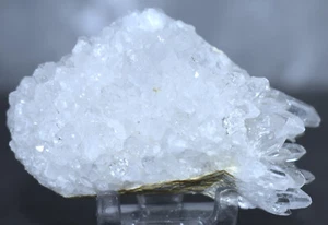 Beautiful Dogtooth Clear Quartz Crystal Cluster 2.73"/77 Grams - Picture 1 of 8