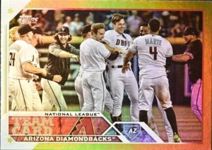 2023 Topps Series 1 Gold Foil #263 Arizona Diamondbacks Team Card - Picture 1 of 1