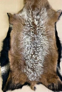 Highland Mountain Mouflon Aries Pelt Skin Hide Fur Taxidermy Home Decor 6/8 - Picture 1 of 1