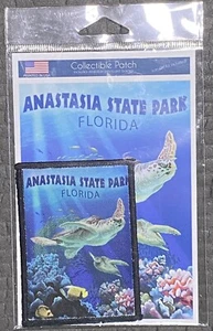 Lantern Press Iron On Anastasia Florida Color Graphic Patch Kit - New - Picture 1 of 4