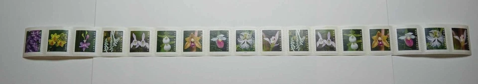 US Scott# 5435-5444 5444a Wild Orchids  PNC17 B1111 MNH 2020 - Image 1 of 1