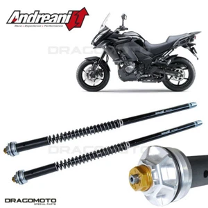 KAWASAKI Versys 1000 2015-2018 cartridge ANDREANI 105/K16E MISANO EVO - Picture 1 of 5