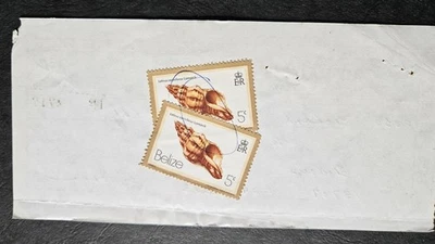 BELICE 1980 10c deber pagado con dos definitivos de carcasa 5c (Scott 576; SG 536) FISCAL Foto 1 de 2