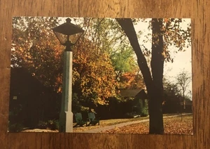 Casas rurales en Giant City State Park 12 millas al sur de Carbondale, Illinois. (WP8) - Imagen 1 de 2