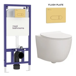Elva Rimless Wall Hung Toilet Soft Seat Dual Cistern Frame Brass Flush Plate - Picture 1 of 22