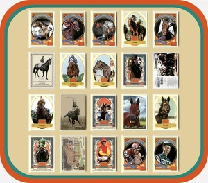 HORSE RACING LEGENDS - 20 Card Lot - Golden Age & Goodwin - Secretariat - Picture 1 of 23