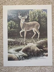 Whitetail Deer Buck limited edition Watercolor Print Reagan Word 19" x 23" 1978 - Picture 1 of 10