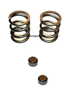 Predator 212 Valve Spring & Lash Cap Kit 22lb Fits GX160, GX200, Ducar 196cc 224 - Picture 1 of 5