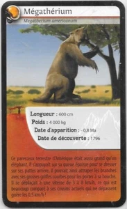 Bioviva Karte! - Megatherium - Bild 1 von 2