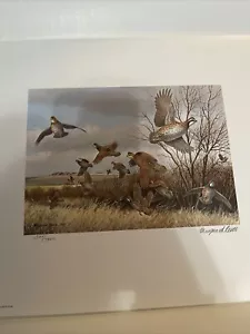 1984 - International Quail Foundation Stempeldruck Maynard Reece mit Stempel - Bild 1 von 5